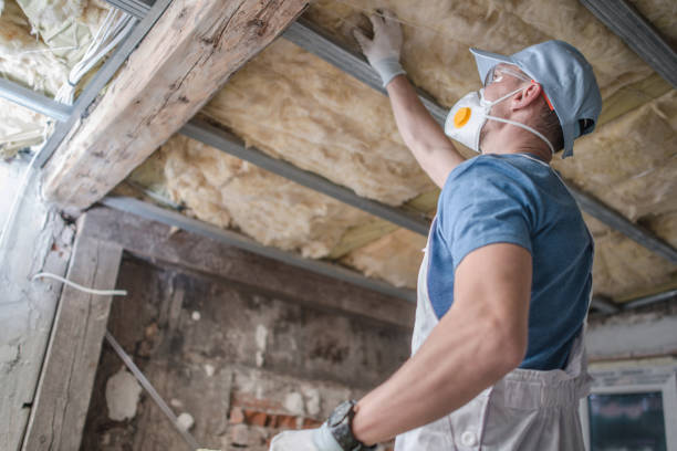 Professional Insulation Contractor in IL